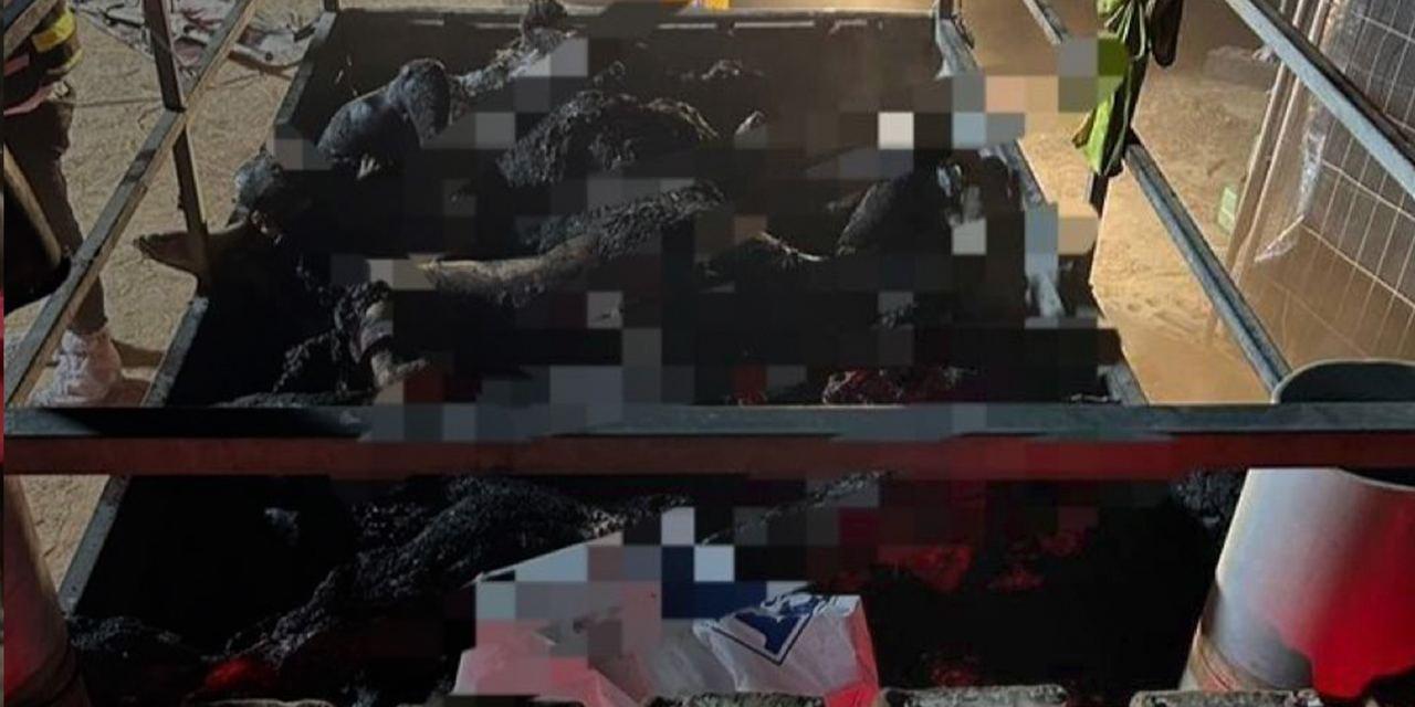 Кфар-Аза. ХАМАС = ИГИЛ. 1000 погибших. Подарок Путину. Главное за 10 октября