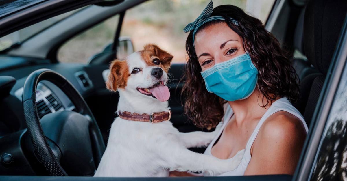 Хотите взять собаку? Вам помогут в амуте "Мой лучший друг"