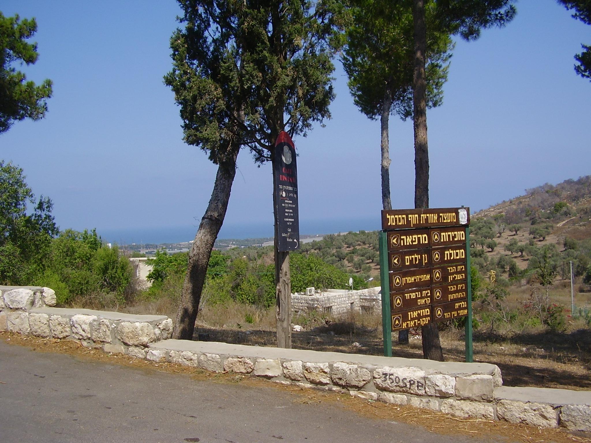 Как провести выходные? Маша Хинич о музее Янко Дада