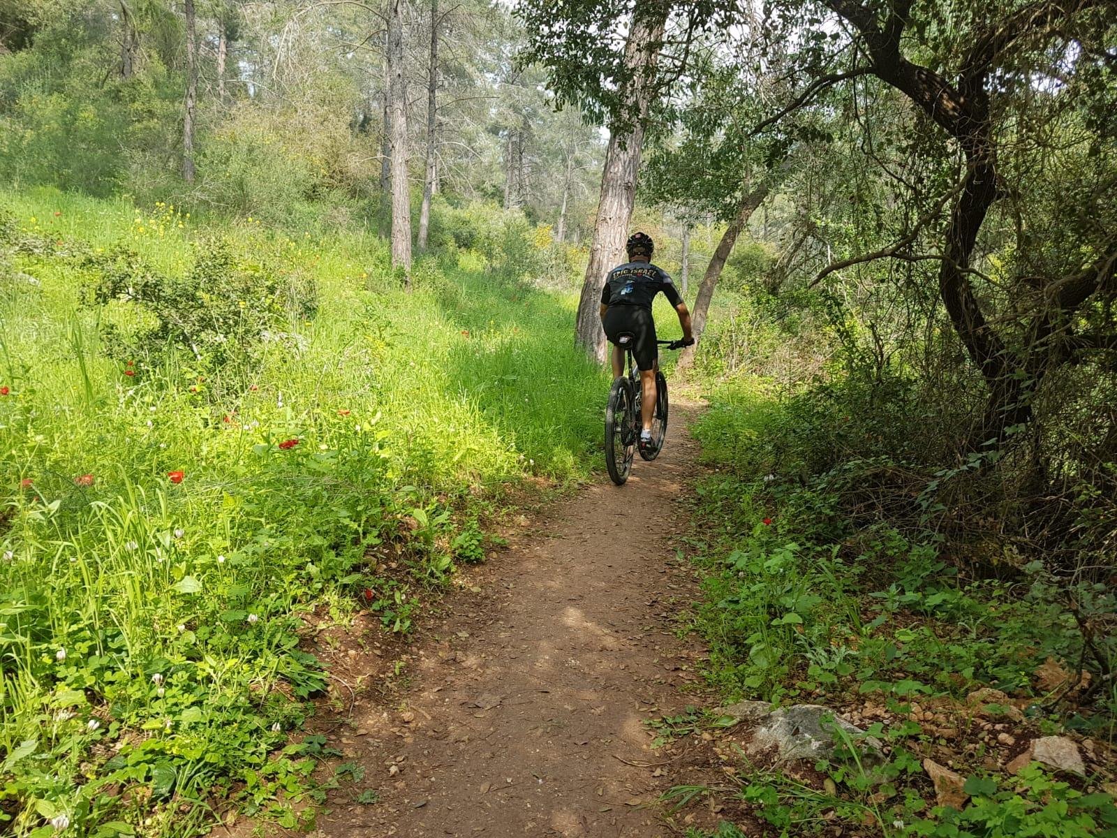 Еврейский Национальный фонд объявляет конкурс среди слушателей Лучшего радио!