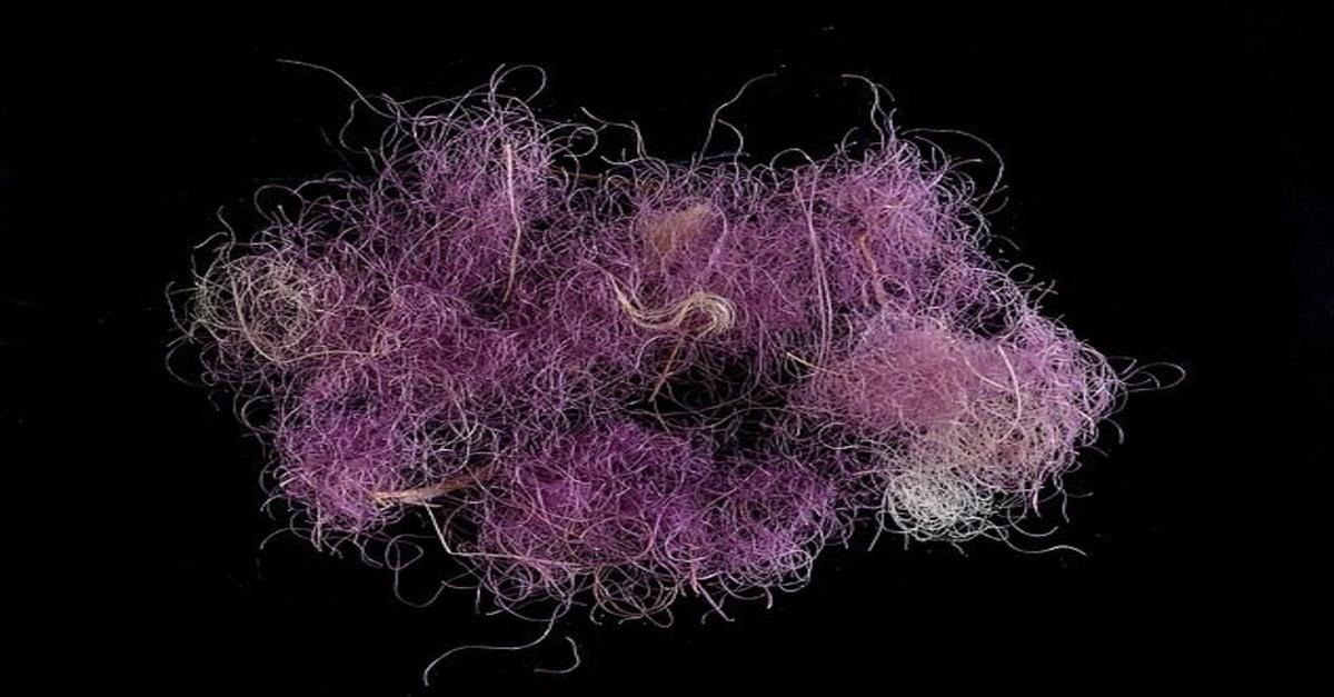 На юге Израиля обнаружены остатки ткани, которая могла принадлежать царю Давиду