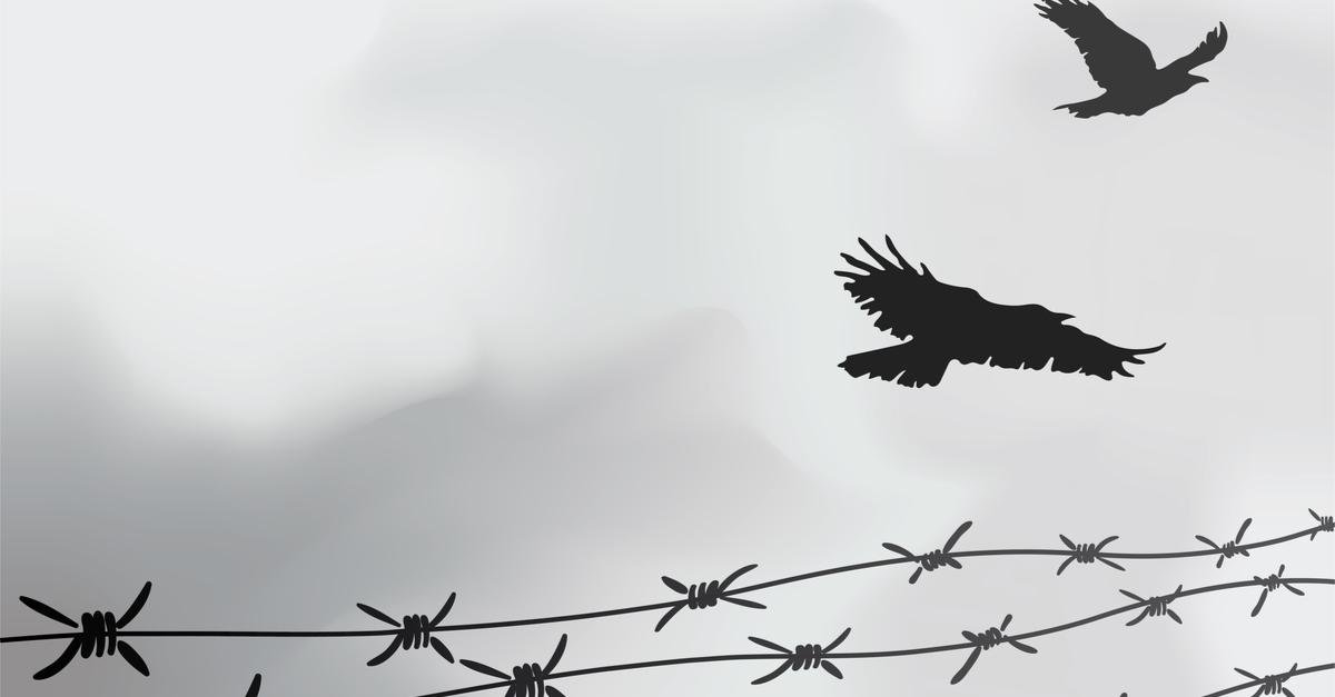 Рядовые исполнители Холокоста. Что мы знаем об этих людях?