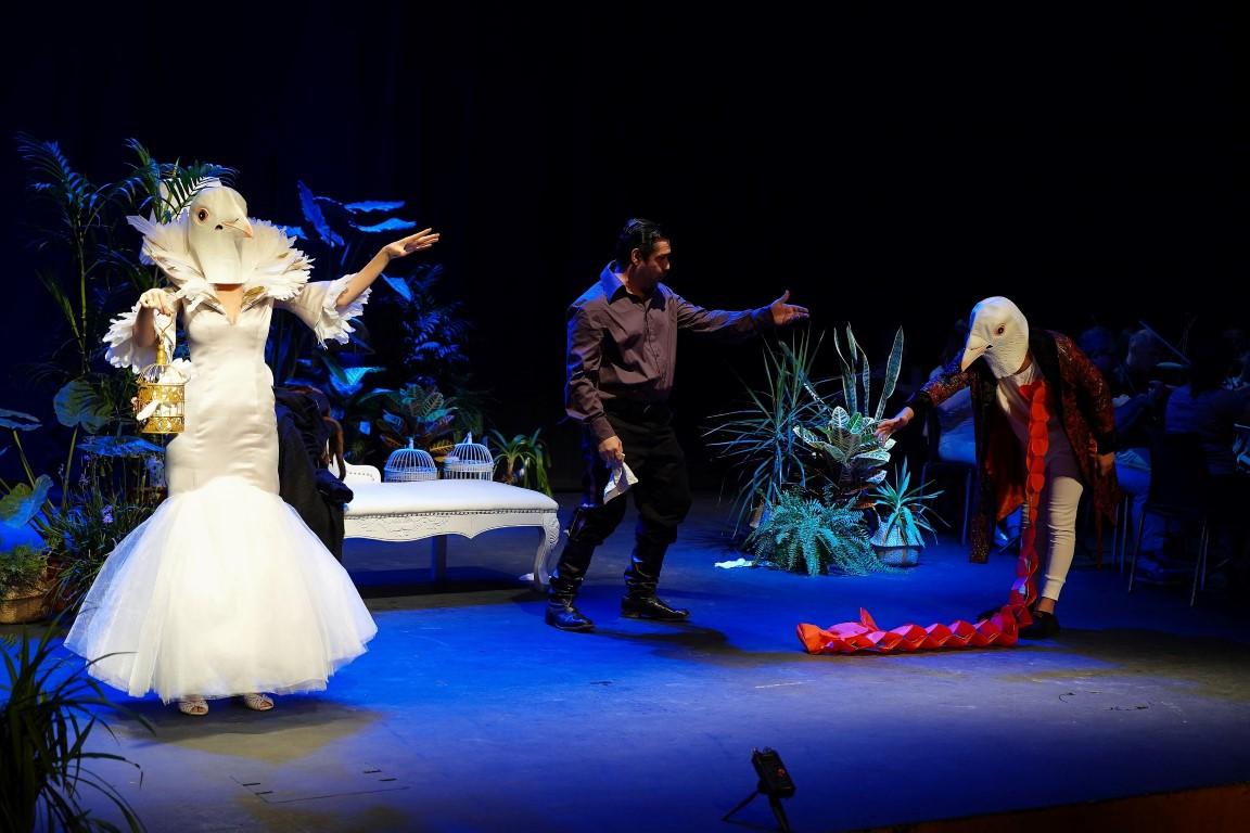 Турандот. Выставка, посвященная алфавиту. Постановки Иерусалимской оперы. Предпремьерные показы кино.